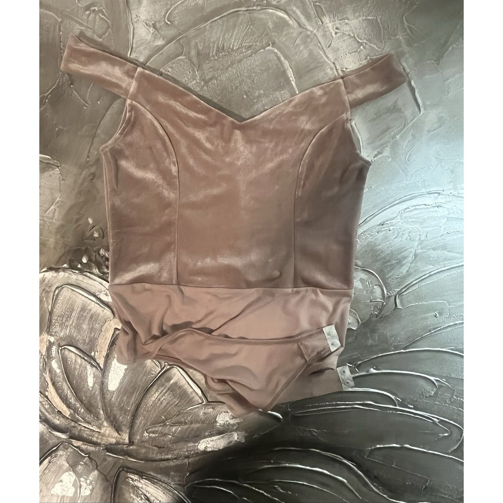 Light Pink Velvet Bodysuit Boho Glam Chic Party Top -Free Press -Size L -New - Picture 13 of 16
